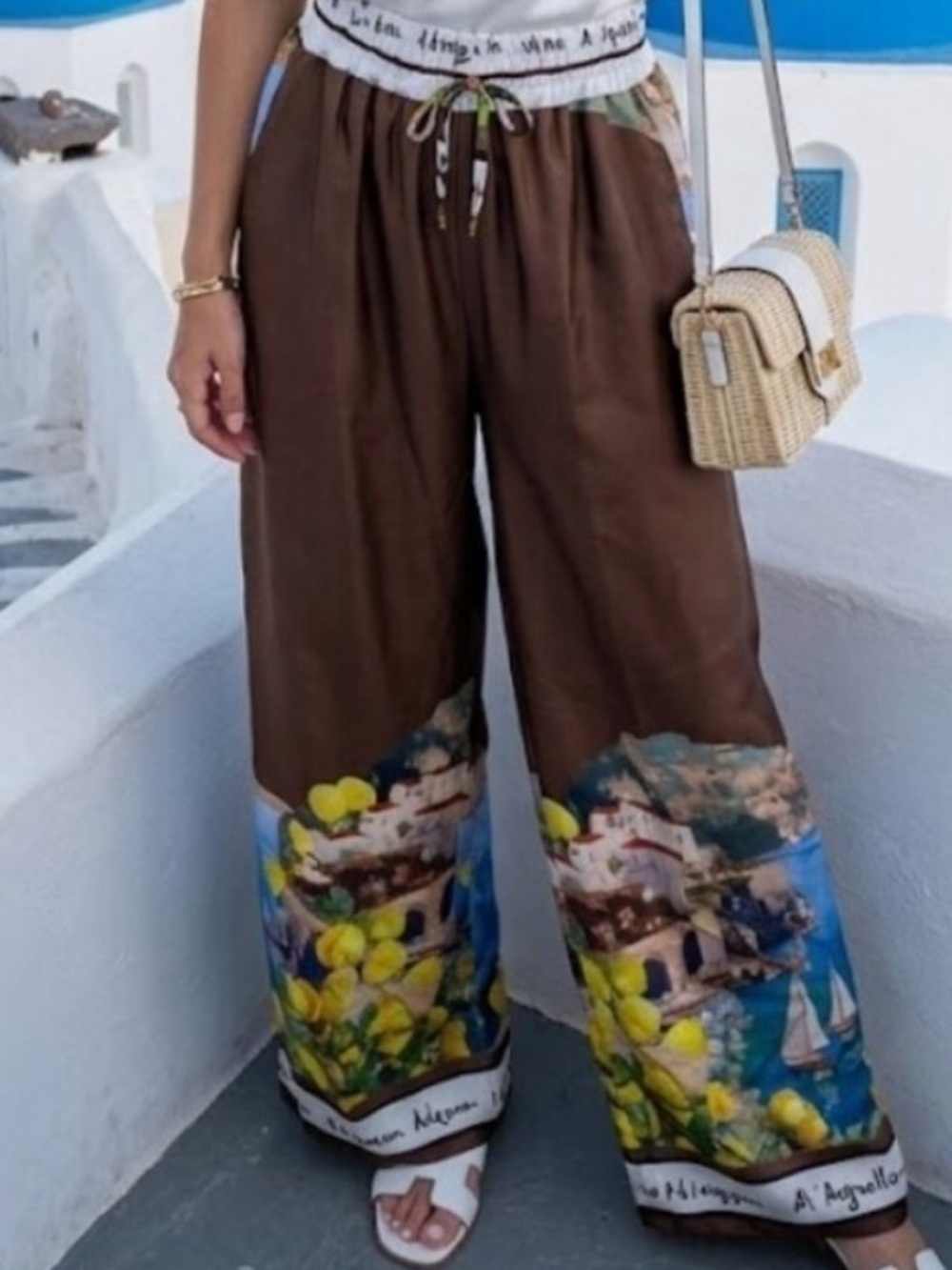 Women's Brown Wide-Leg Printed Palazzo Pants